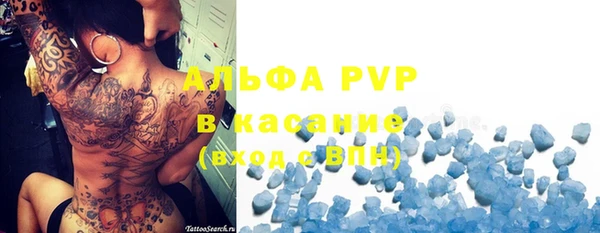 ECSTASY Вяземский
