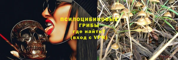 ECSTASY Вяземский