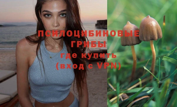 ECSTASY Вяземский